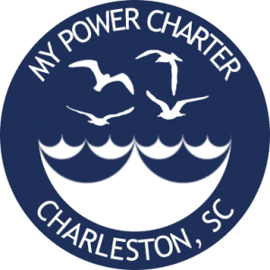 My power charter logo