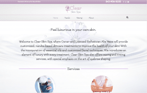 screen shot of website