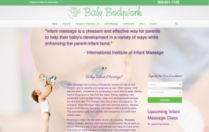 screen shot of website